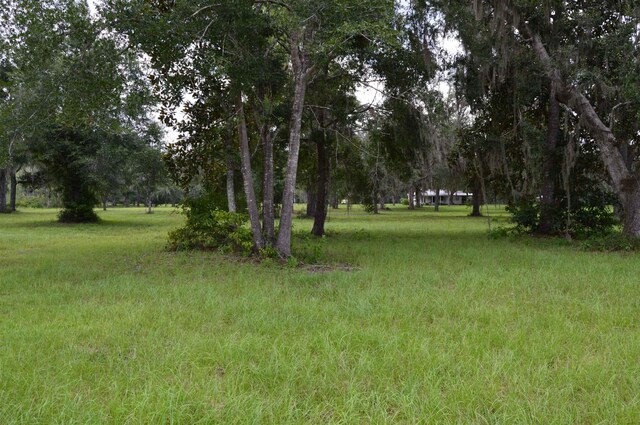 16131 US-19, Lamont, FL 32336 - photo 46