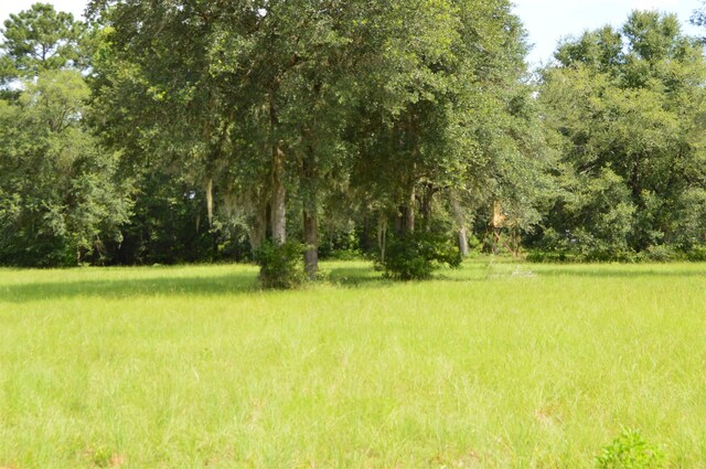 16131 US-19, Lamont, FL 32336 - photo 8
