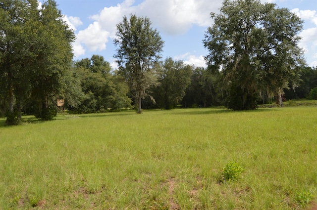 16131 US-19, Lamont, FL 32336 - photo 2
