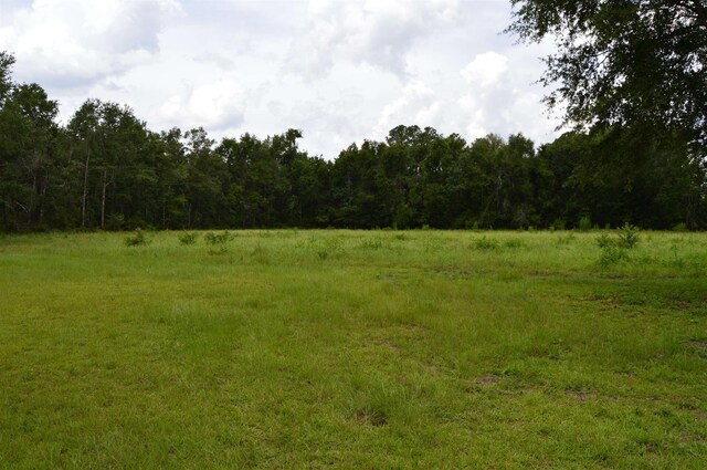 16131 US-19, Lamont, FL 32336 - photo 48