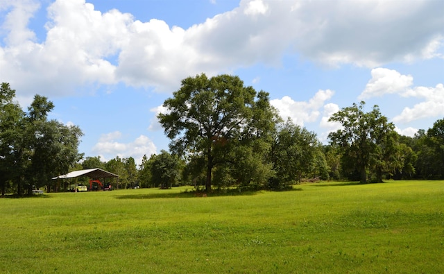 16131 US-19, Lamont, FL 32336 - photo 13