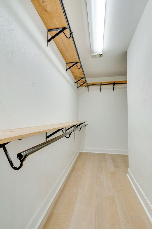 3585 Gardenview Way, Tallahassee, FL 32309 - spacious closet with light wood-type flooring