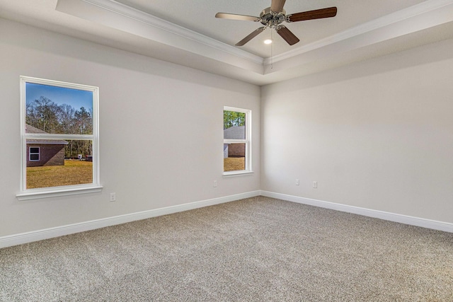 carpeted spare room featuring a raised ceiling, ceiling fan, and crown molding