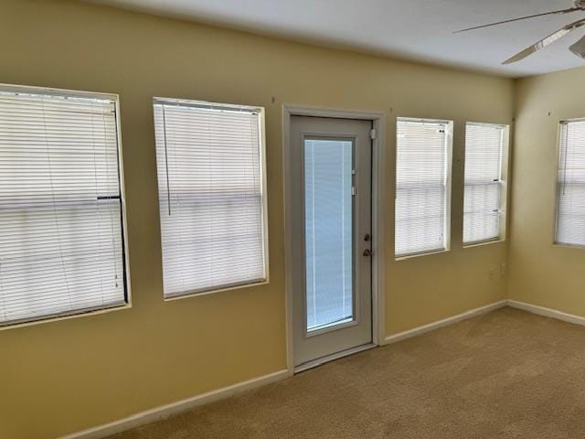 1142 Walden Rd, Tallahassee, FL 32317 - photo 28