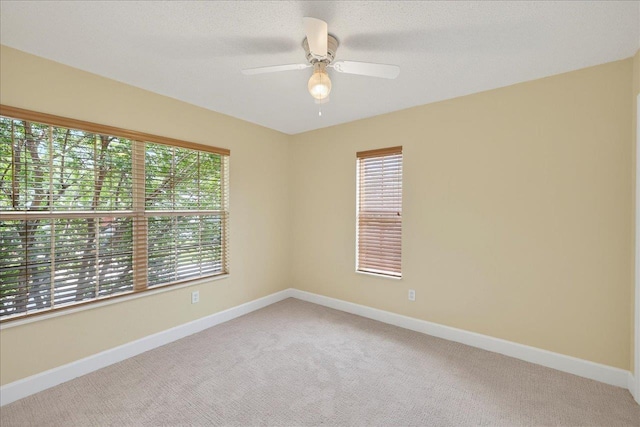 227 Waynard Way, Tallahassee, FL 32317 - photo 24