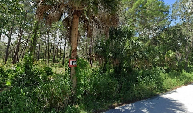 1735 Minnie St Fl, Cocoa, FL 32926 - photo 4