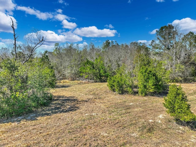 Listing photo 2 for TBD Johnson Stripling Road, Perry FL 32347