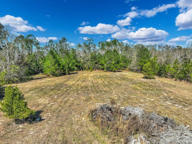 Listing photo 3 for TBD Johnson Stripling Road, Perry FL 32347