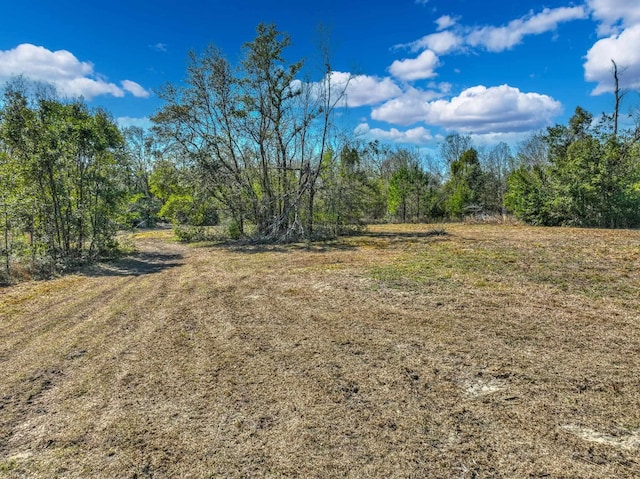 TBD Johnson Stripling Road, Perry FL, 32347 land for sale