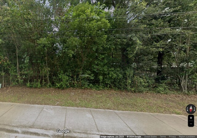 1422 Mccaskill Ave, Tallahassee, FL 32310 - view of yard