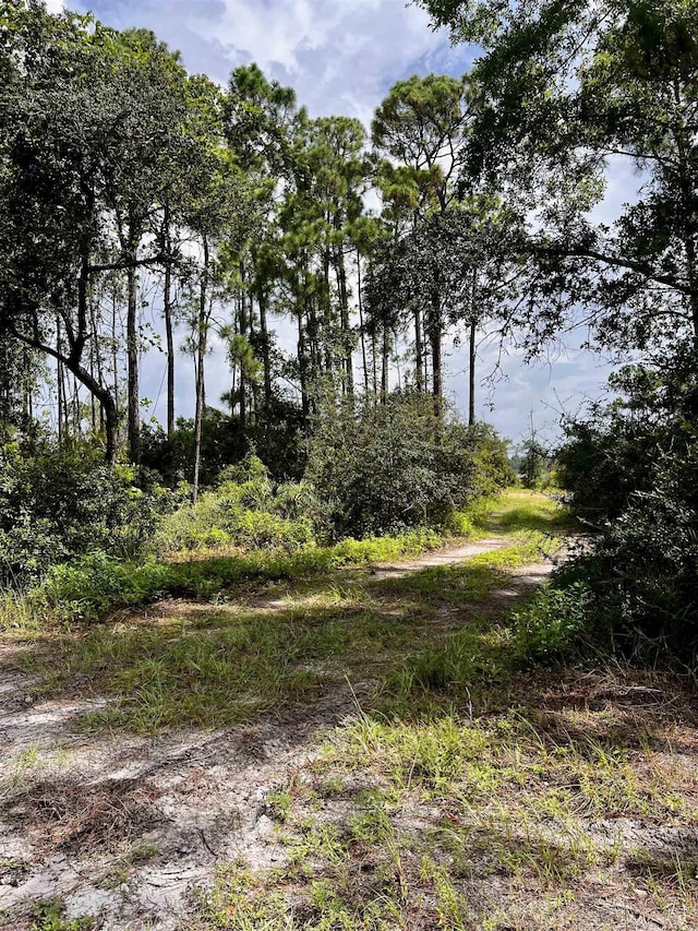 149 Timber Island Rd, Carrabelle, FL 32322 - photo 6