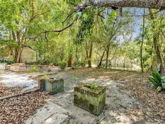 2705 Lake Henrietta St, Tallahassee, FL 32310 - view of yard