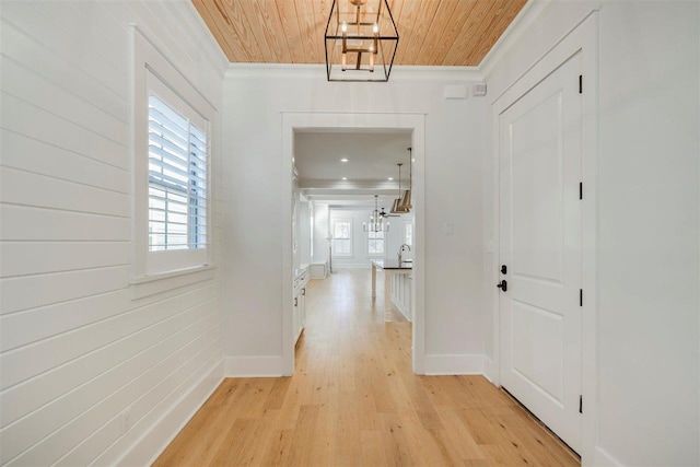 hallway with a chandelier, a healthy amount of sunlight, and light wood finished floors