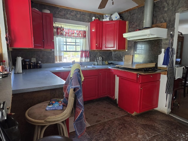 kitchen with a sink, red cabinetry, light countertops, decorative backsplash, and under cabinet range hood