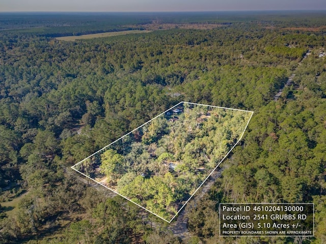 2541 Grubbs Rd, Tallahassee, FL 32305 - photo 3