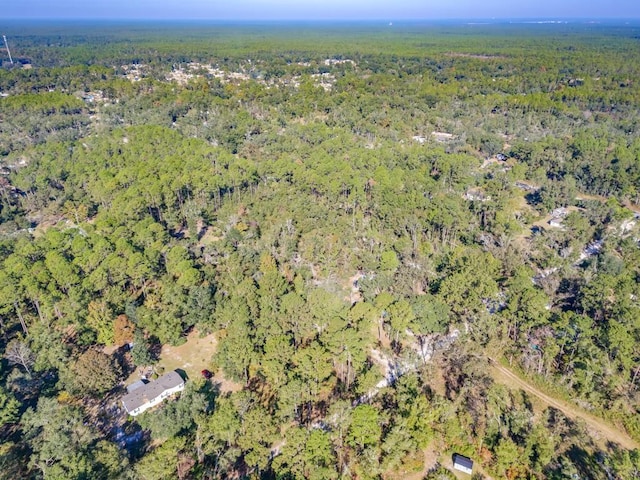 2541 Grubbs Rd, Tallahassee, FL 32305 - photo 30