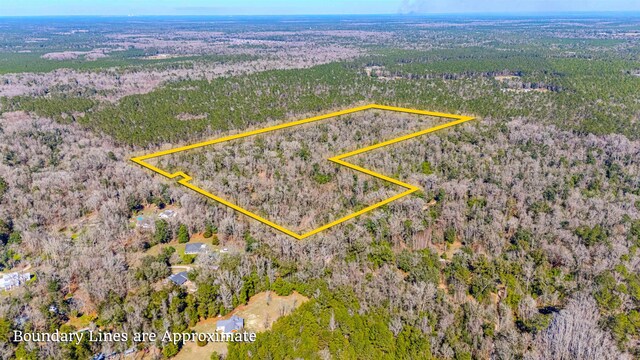 20AC Old Town Hammock Ln, Crawfordville, FL 32327