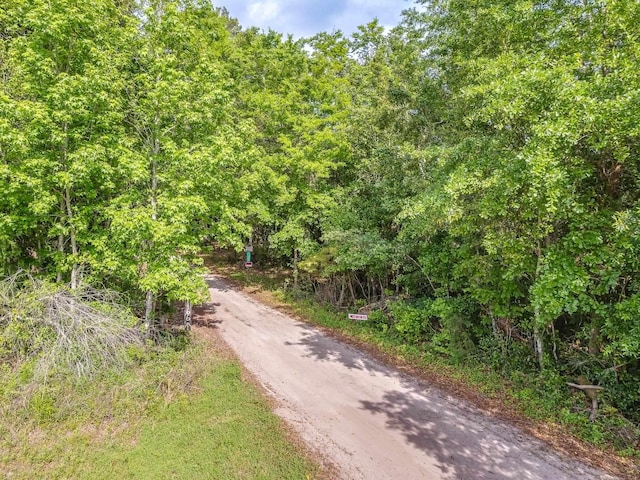 20AC Old Town Hammock Ln, Crawfordville, FL 32327