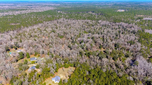 20AC Old Town Hammock Ln, Crawfordville, FL 32327