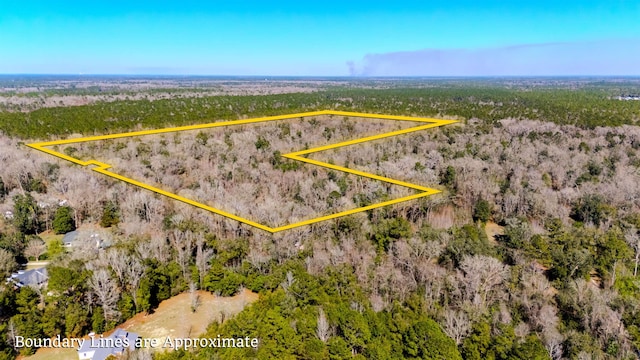 20AC Old Town Hammock Ln, Crawfordville, FL 32327