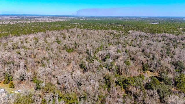 20AC Old Town Hammock Ln, Crawfordville, FL 32327