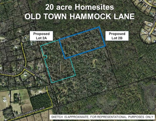 20AC Old Town Hammock Ln, Crawfordville, FL 32327