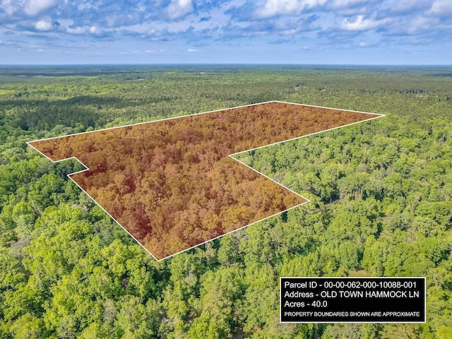 20AC Old Town Hammock Ln, Crawfordville, FL 32327