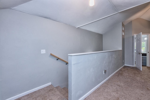 stairway featuring lofted ceiling and carpet floors