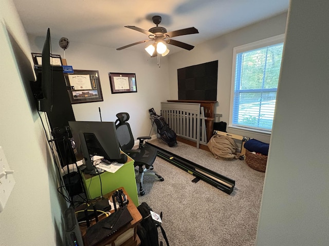 66 Brewster Rd, Crawfordville, FL 32327 - photo 15