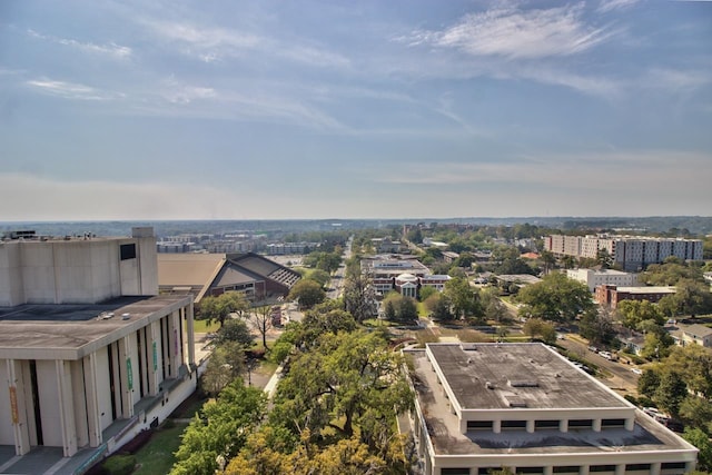 bird's eye view