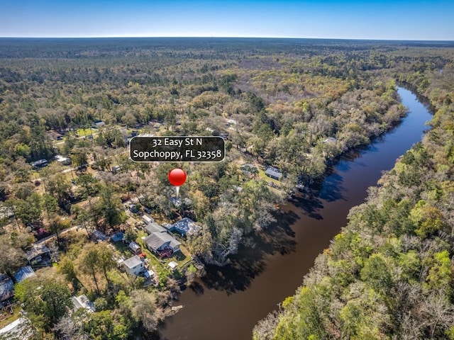 32 N Easy St, Sopchoppy, FL 32358 - photo 31