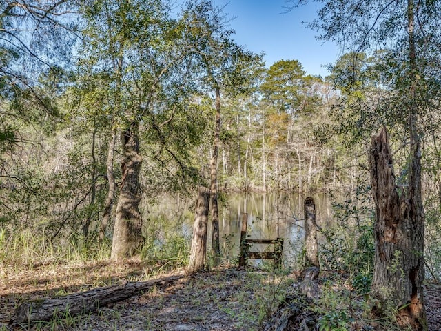 32 N Easy St, Sopchoppy, FL 32358 - photo 28