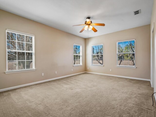 50 Belle Forbes Ln, Crawfordville, FL 32327 - photo 15