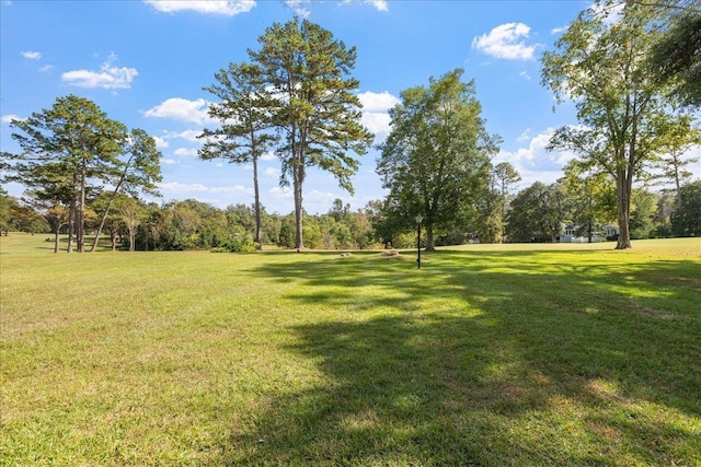 4033 Kilmartin Dr, Tallahassee, FL 32309 - photo 48
