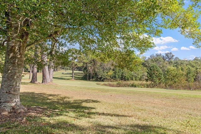 4033 Kilmartin Dr, Tallahassee, FL 32309 - photo 51