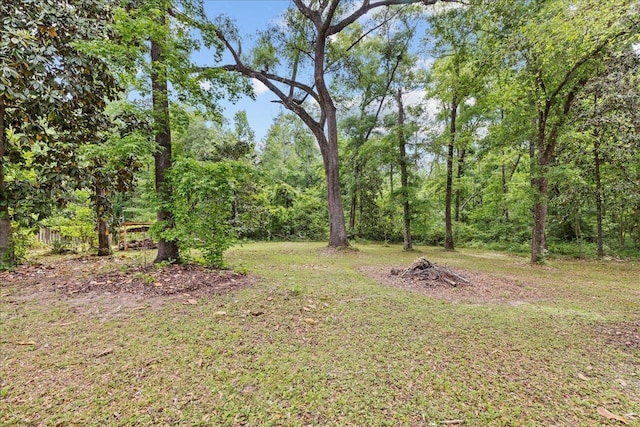 3119 Foxwood Ln, Tallahassee, FL 32309 - view of yard
