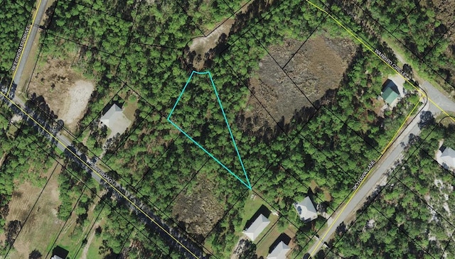 LOTS20 Tarpine Dr, Panacea FL, 32346 land for sale