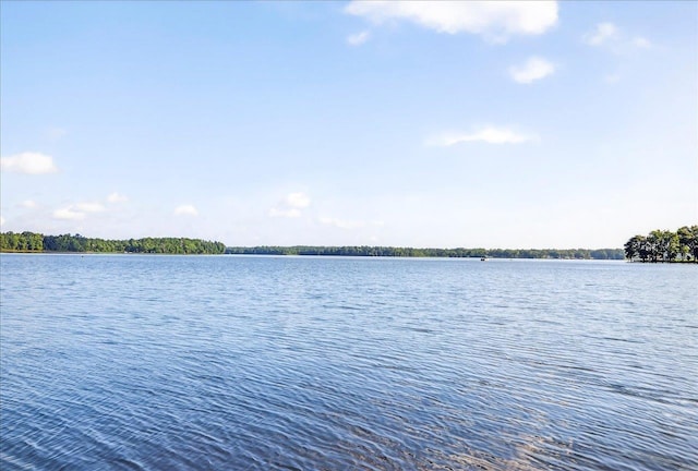 21006 Lanier Ct, Tallahassee, FL 32310 - photo 53