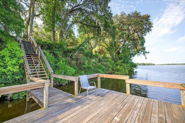 21006 Lanier Ct, Tallahassee, FL 32310 - photo 55