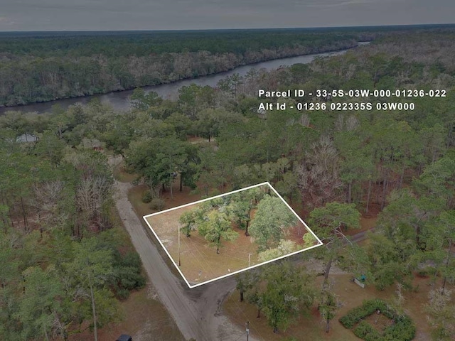 Listing photo 2 for TBD Pamela Place, Sopchoppy FL 32358