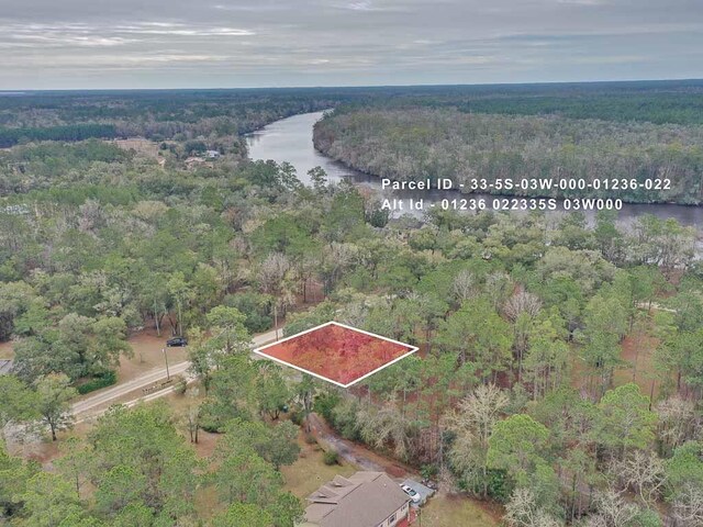 TBD Pamela Place, Sopchoppy FL, 32358 land for sale