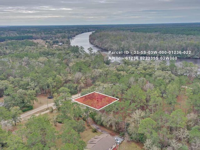 TBD Pamela Place, Sopchoppy, FL 32358 - photo 1