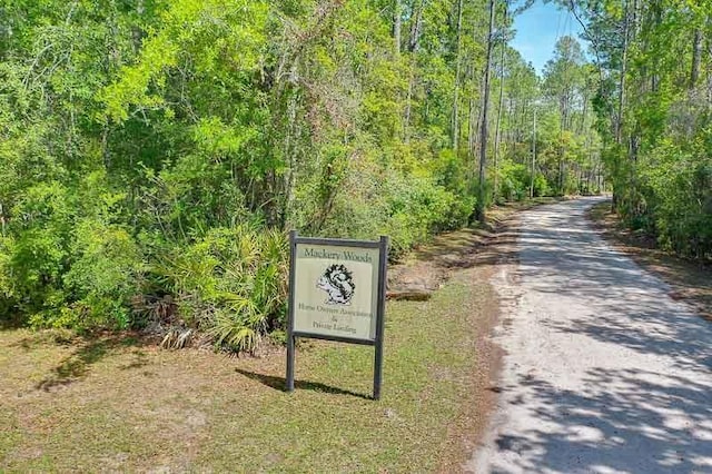 TBD Pamela Place, Sopchoppy, FL 32358 - photo 5