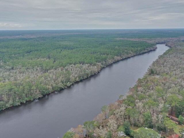 TBD Pamela Place, Sopchoppy, FL 32358 - photo 7