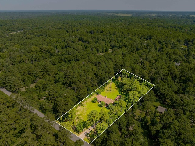 1178 Robin Kay Rd, Tallahassee, FL 32312 - view of property location with a forest and property parcel outlined