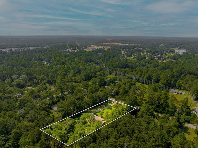 1178 Robin Kay Rd, Tallahassee, FL 32312 - aerial view of property and surrounding area featuring a heavily wooded area and property parcel outlined