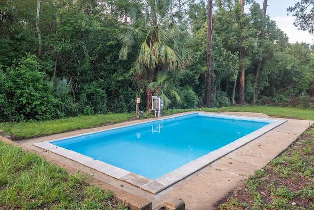 715 Caliark St, Tallahassee, FL 32304 - view of outdoor pool