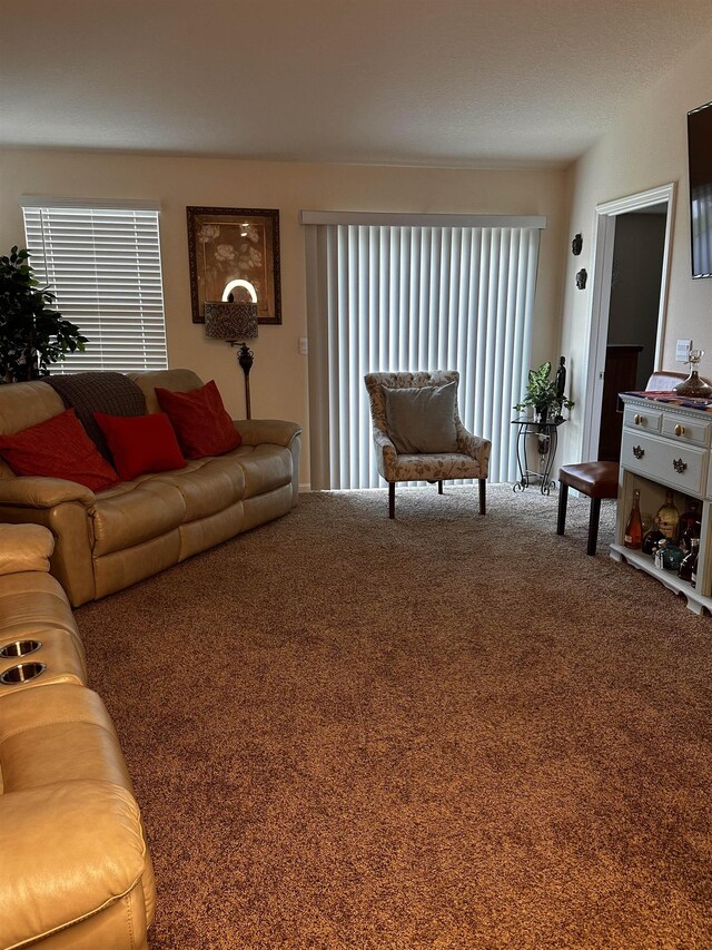 15699 Equine Gait Dr, Jacksonville, FL 32234 - photo 10