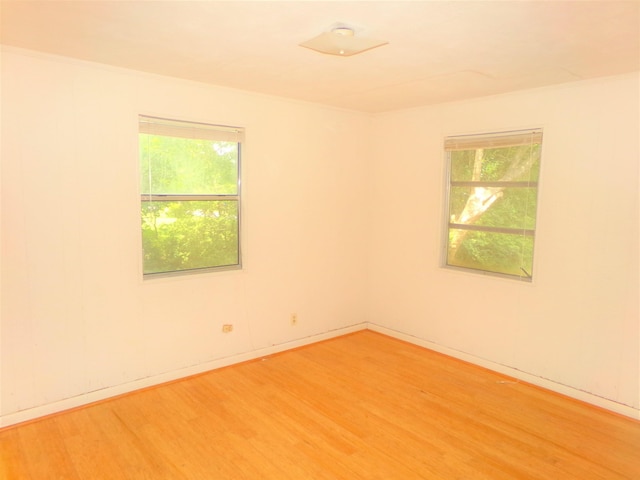 906 NE 1st St, Havana, FL 32333 - spare room featuring light wood-type flooring and plenty of natural light