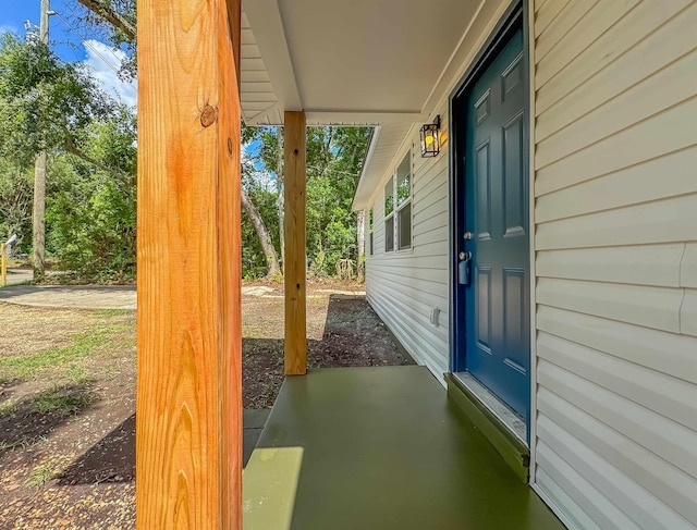 1751 Pepper Dr, Tallahassee, FL 32304 - photo 48